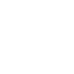 Fire pit icon