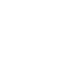 Sink icon