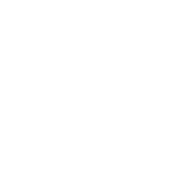 Trampoline icon