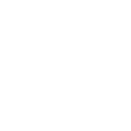 Battery Icon