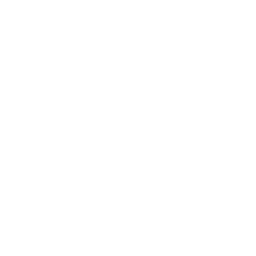 Car parts icon