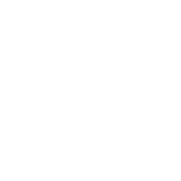 Kitchen utensils icon