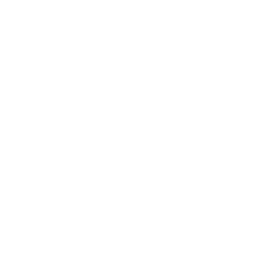 Lamp Icon