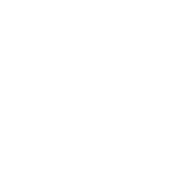 Microphone Icon