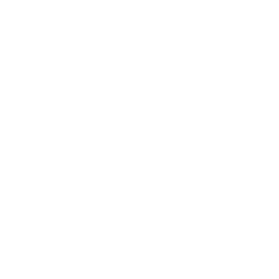 Plug icon