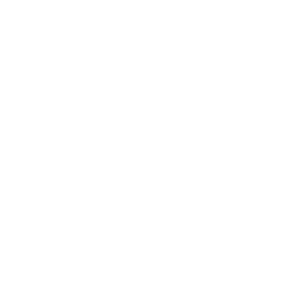 Television Icon